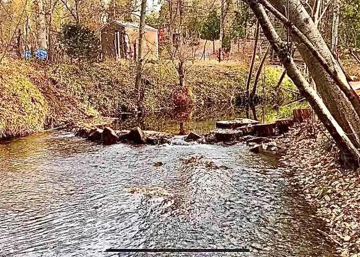 Near Yosemite, A Tranquil Getaway With Creek Frontage