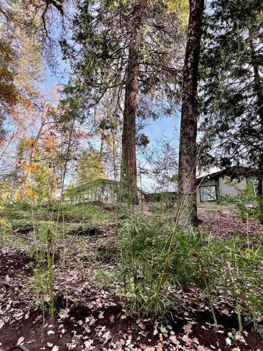 Near Yosemite, A Tranquil Getaway With Creek Frontage Oakhurst